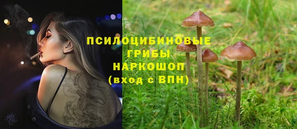 молекула духа Абаза