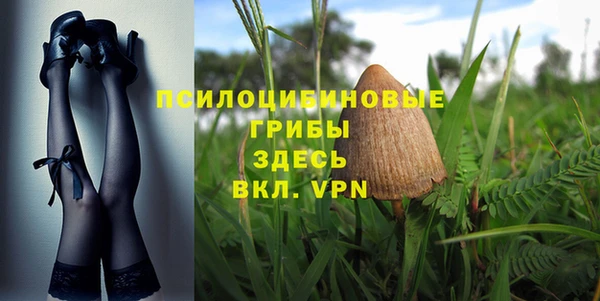 кокс Покачи