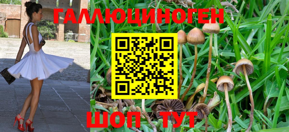 Галлюциногенные грибы Cubensis Алатырь