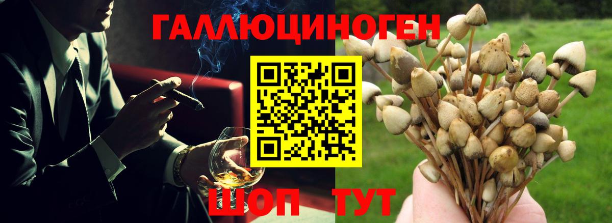 магазин продажи   Вход с VPN  Псилоцибиновые грибы Psilocybine cubensis  Алатырь  Псилоцибиновые грибы мухоморы 