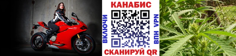 Канабис сатива Алатырь